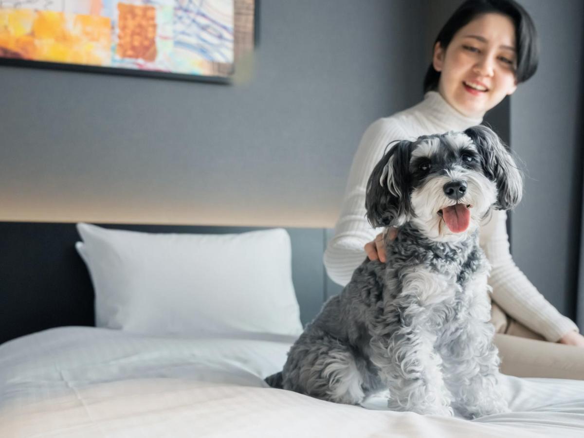 hotel anddoggy京都二条