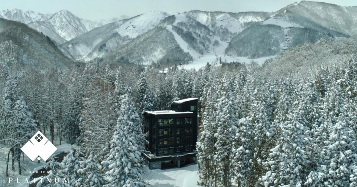 Hakuba Platinum