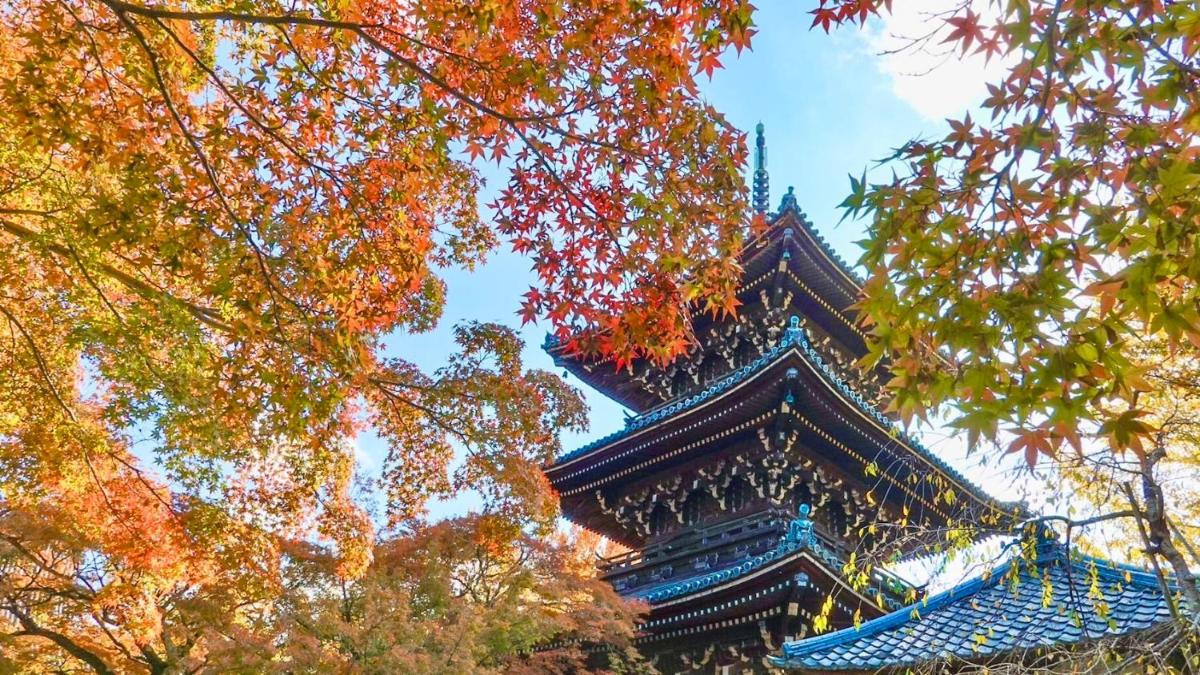 カモンイン 東寺東
