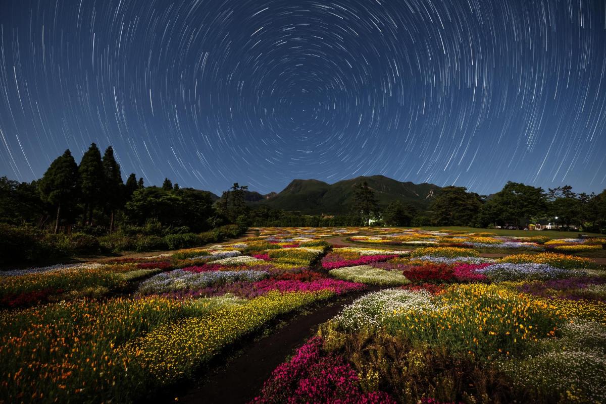 くじゅう花公園　キャンピングリゾート花と星