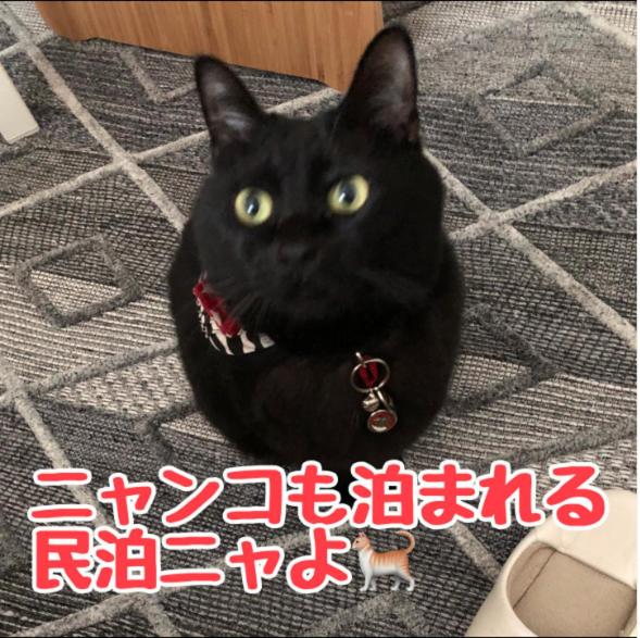 ペット連れ歓迎 女性連れ専用ーotomari MUSUHIータイ古式マッサージや妊産婦ケアが受けられる 源泉掛け流し温泉側の宿 ドッグラン可