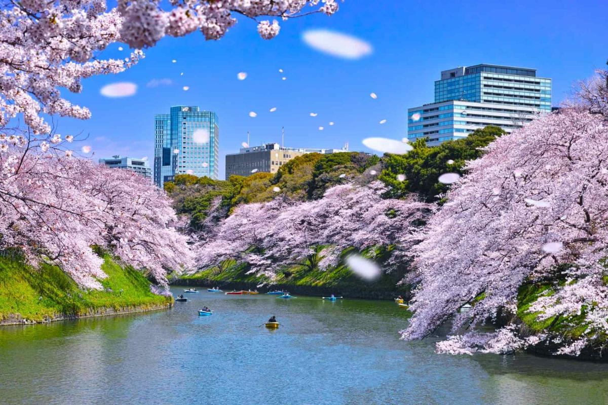 Hotel Owl Tokyo 新橋