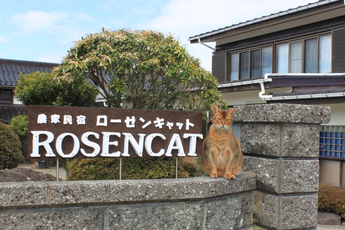 ローゼンキャット
