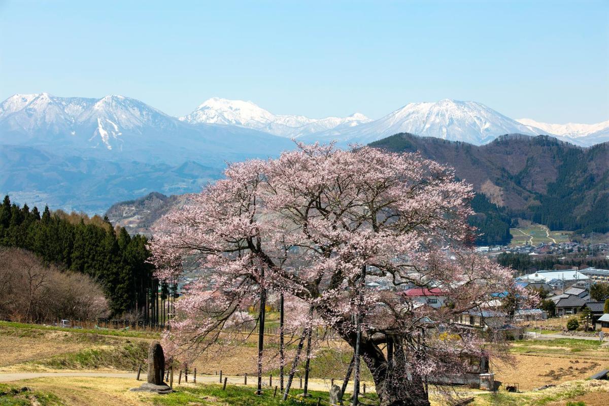 蕨温泉 旅館 わらび野