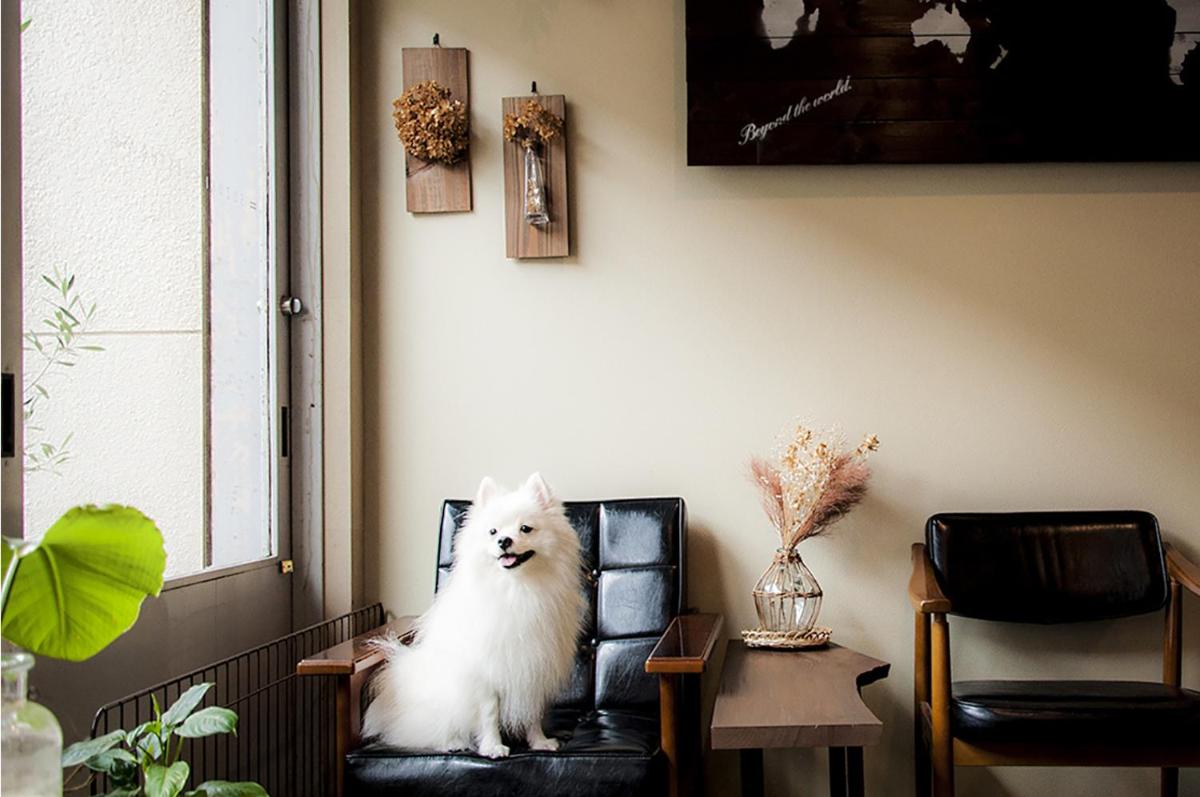 SUZUKI GUESTHOUSE